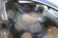 RENAULT LAGUNA COUPE 2.0 DCI 2P