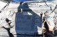 AUDI A4 AVANT 2.0 TDI 5P