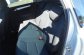 MERCEDES B200 2.0 CDI BA 5P