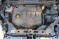 FIAT BRAVO 1.9 JTD 5P