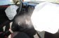 CITROEN C1 1.0 I 3P