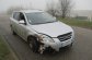 KIA CEED SW 1.6 CRDI 5P