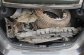 BMW 550 4.4 I BA 4X4 4P